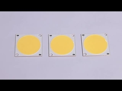 Τσιπ ΣΠΑΔΙΚΩΝ