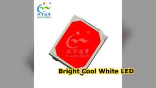 Bright Cool White 5054 SMD LED Chip 0,5W